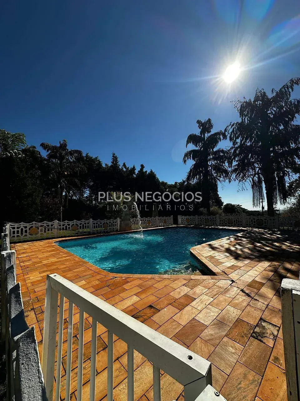 Sítio, 3 quartos, 4000 m² - Foto 2