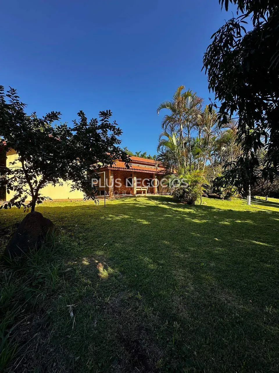 Sítio, 3 quartos, 4000 m² - Foto 27