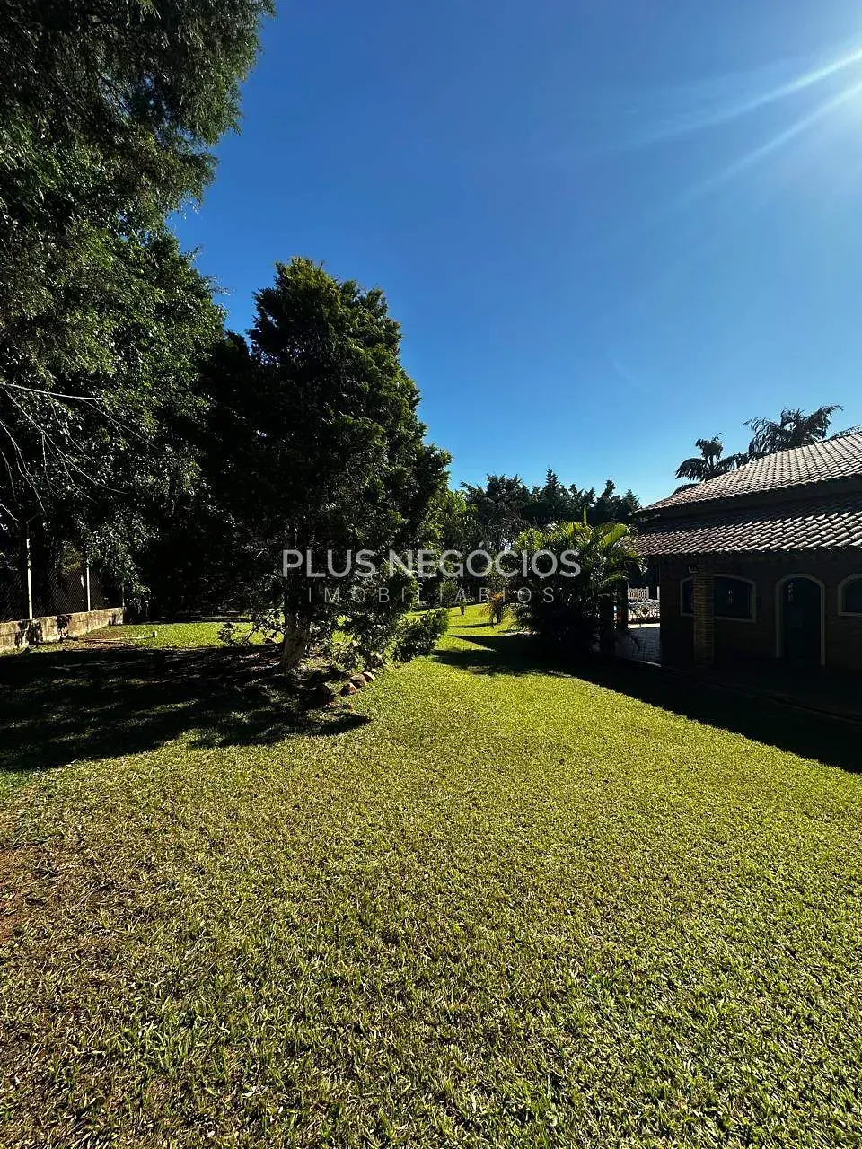 Sítio, 3 quartos, 4000 m² - Foto 28