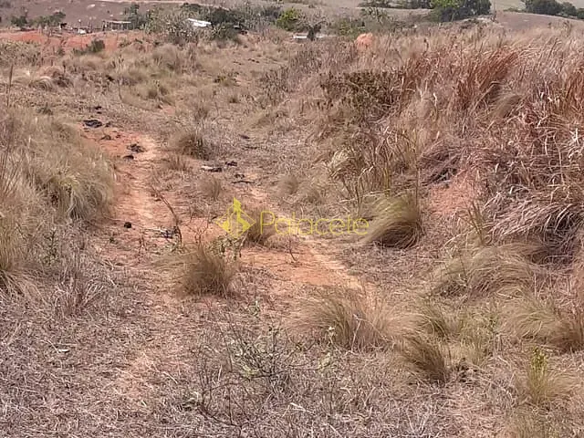 Chácara com 20000m², à venda, no bairro Mandú em Pindamonhangaba