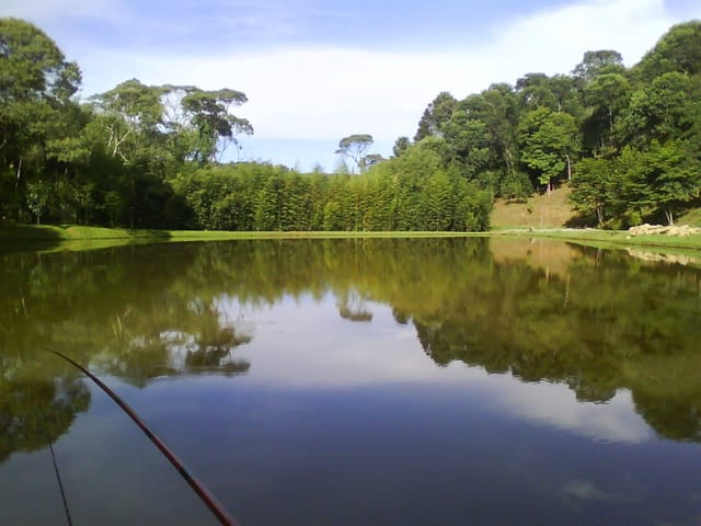 Chácara com 18000m² 4 quartos e 5 banheiros, para alugar, no bairro Itajacuru em Colombo