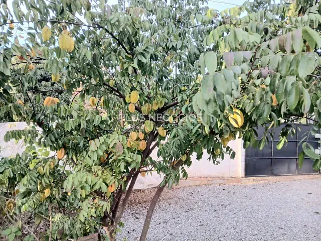 Chácara com 1000m² 3 quartos e 4 banheiros, à venda, no bairro Arco Íris em Salto de Pirapora