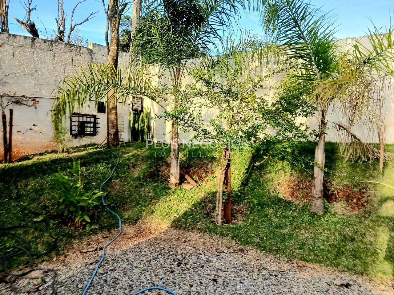 Chácara, 3 quartos, 1000 m² - Foto 4