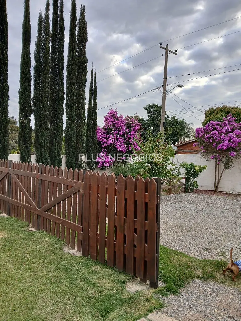 Chácara, 3 quartos, 1000 m² - Foto 10