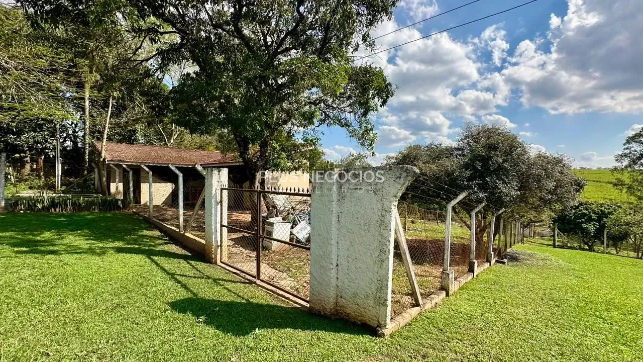 Sítio, 3 quartos, 10000 m² - Foto 56
