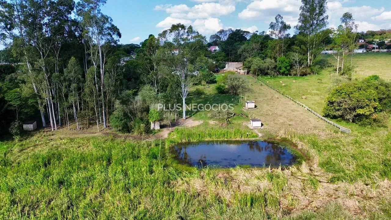Sítio, 3 quartos, 10000 m² - Foto 62