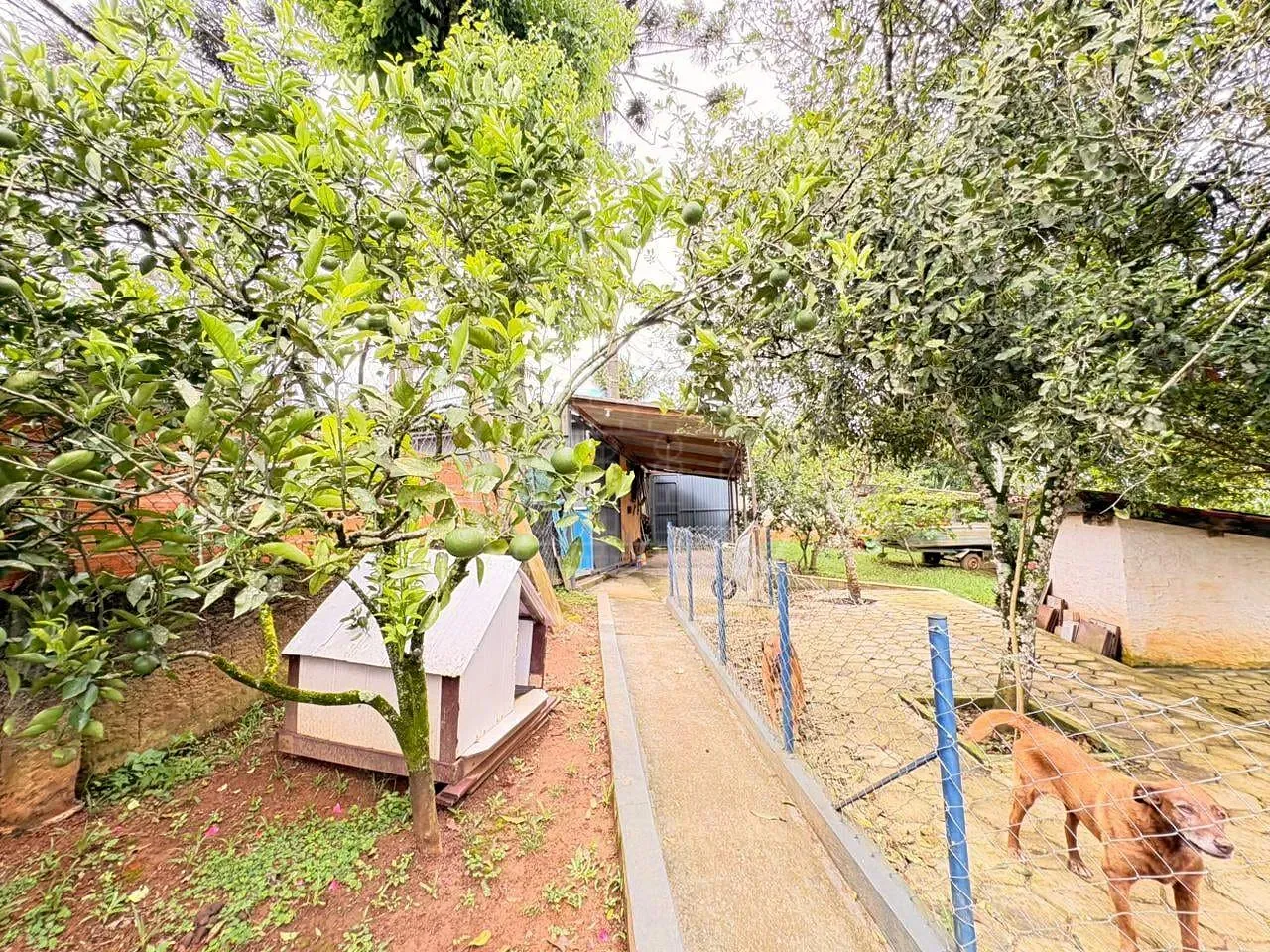 Sítio, 6 quartos, 1520 m² - Foto 51