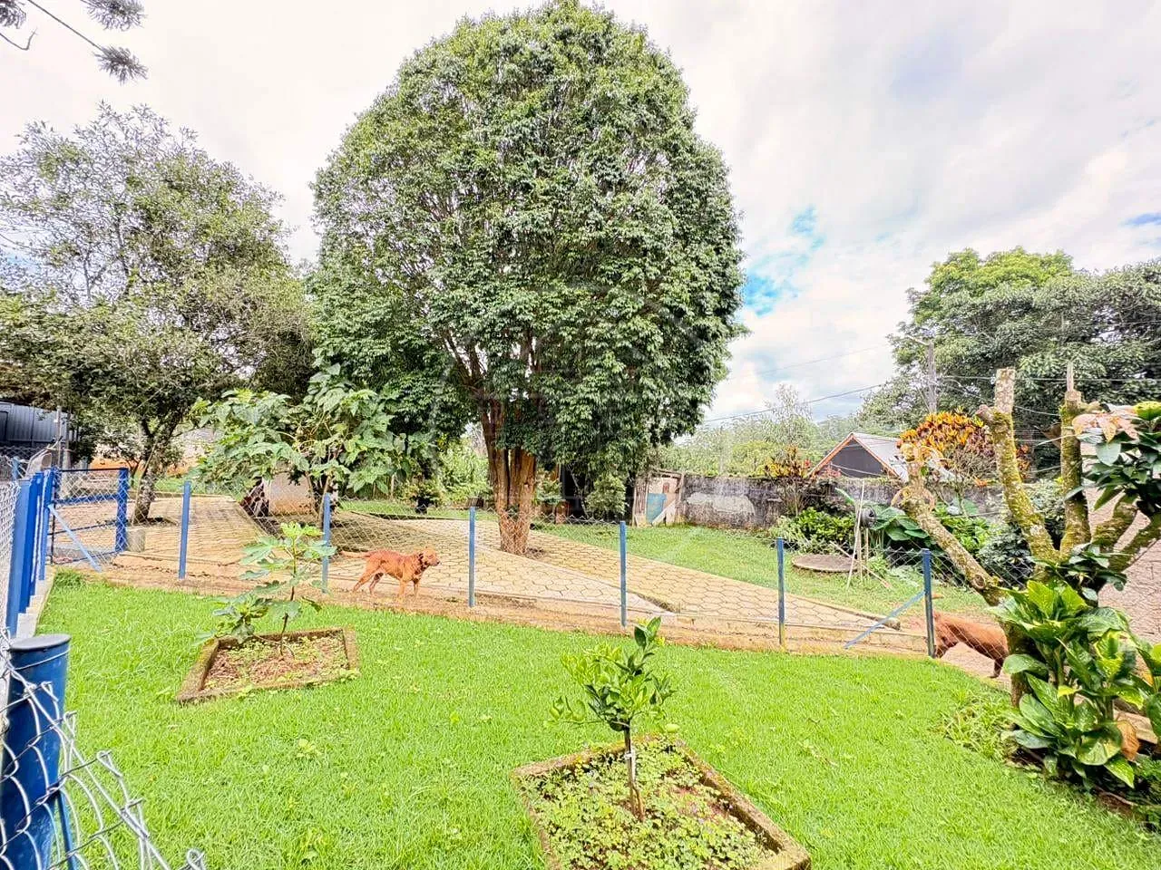 Sítio, 6 quartos, 1520 m² - Foto 34