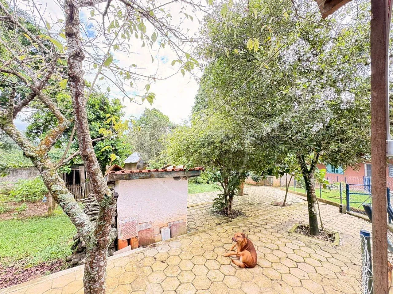 Sítio, 6 quartos, 1520 m² - Foto 35