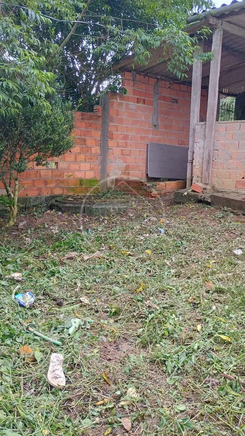 Sítio, 1 quarto, 1450 m² - Foto 2