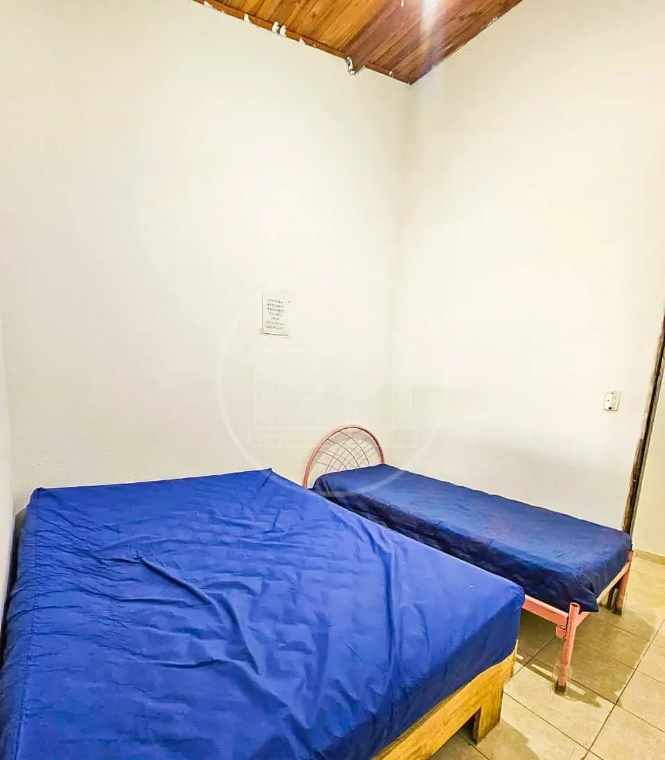 Sítio, 4 quartos, 3800 m² - Foto 22