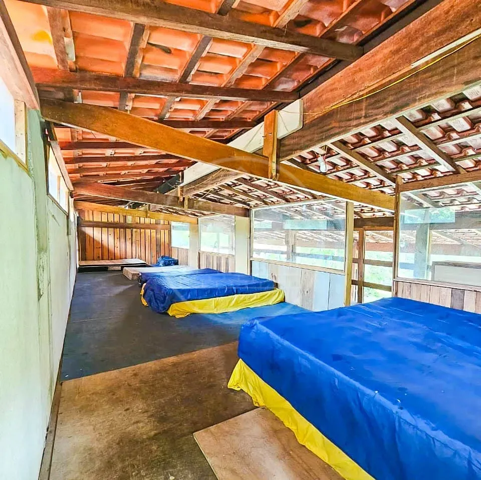 Sítio, 4 quartos, 3800 m² - Foto 4