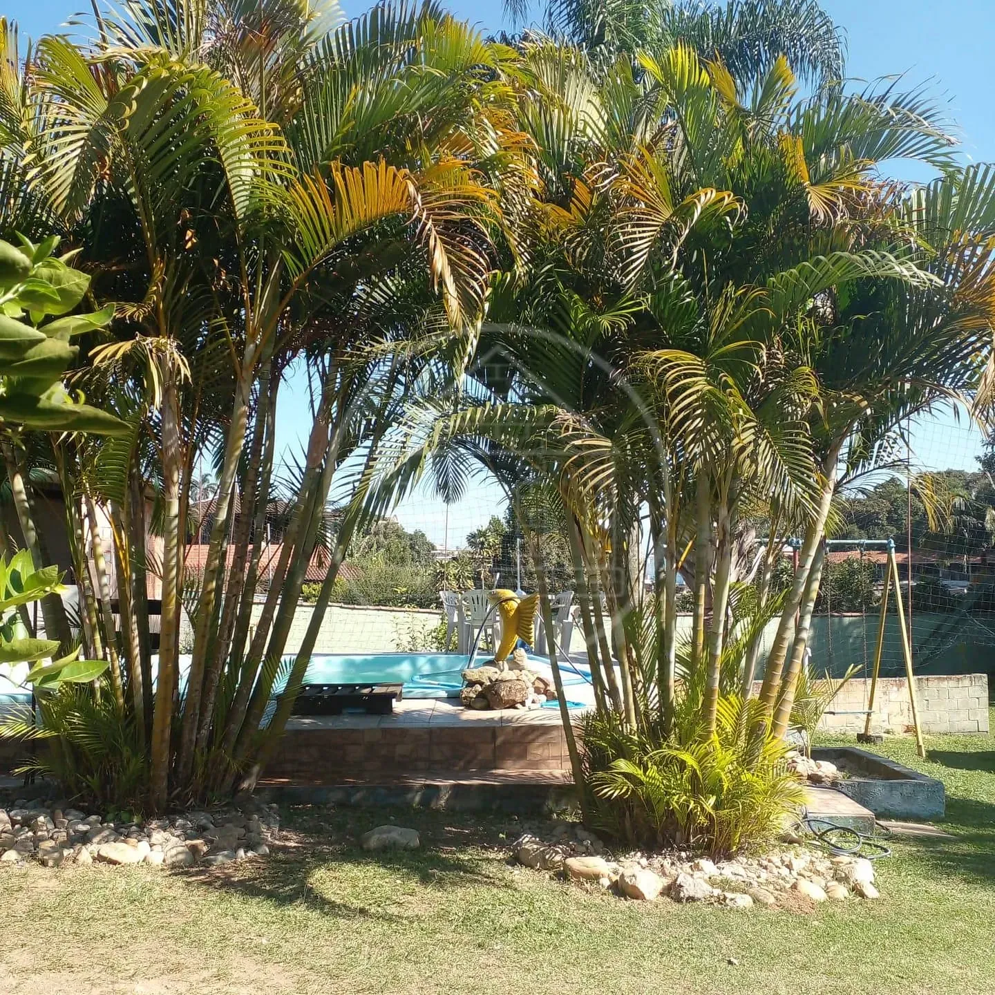 Sítio, 3 quartos, 1700 m² - Foto 13