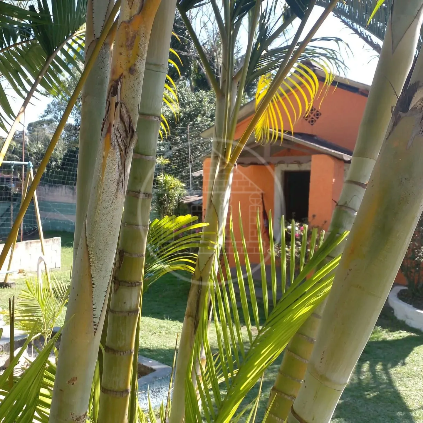 Sítio, 3 quartos, 1700 m² - Foto 3