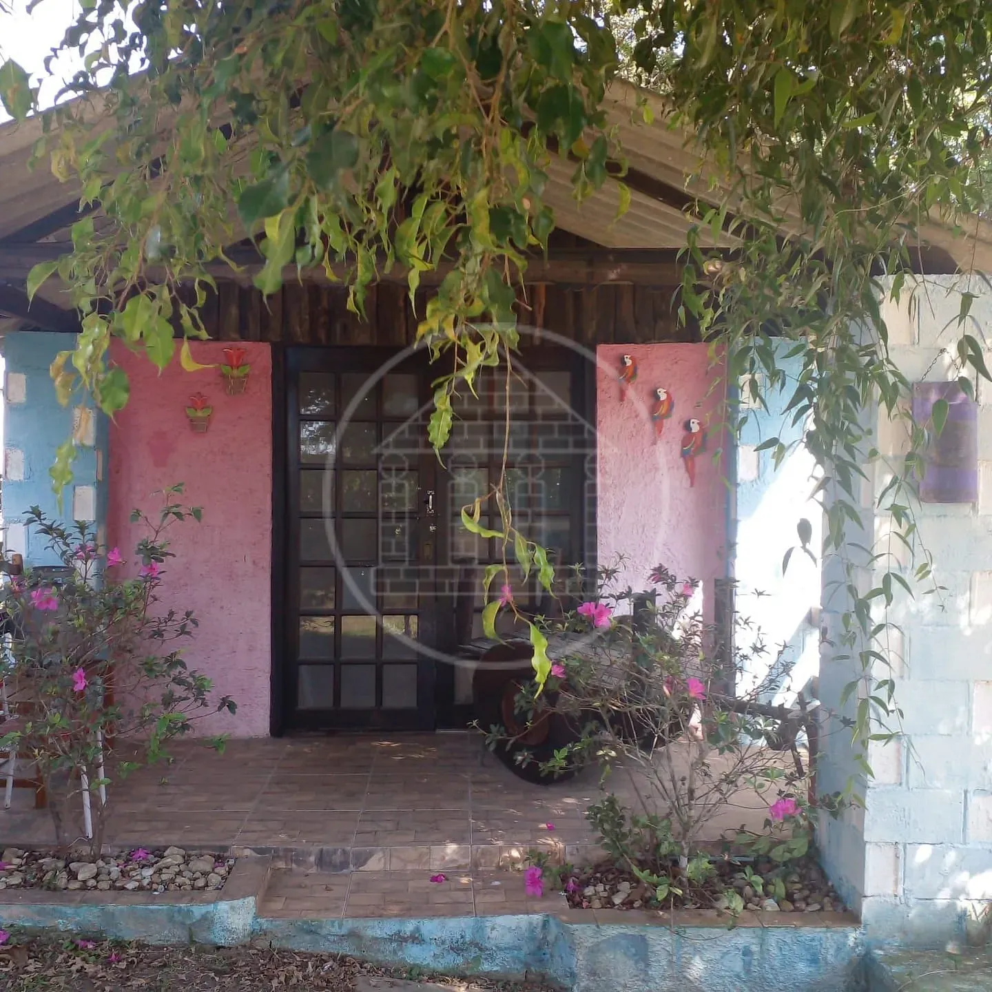 Sítio, 3 quartos, 1700 m² - Foto 14