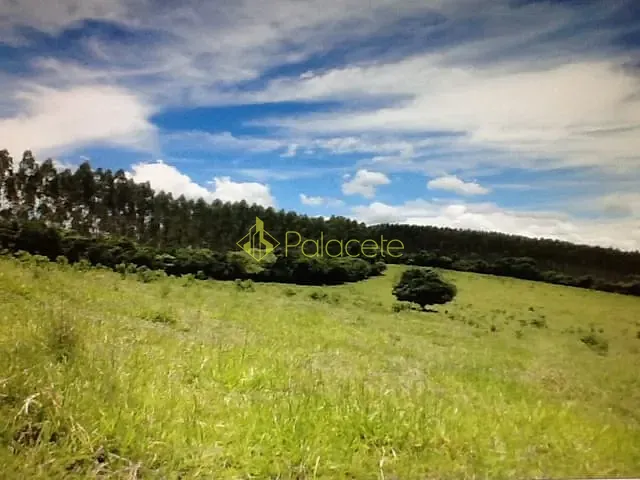 Chácara com 170000m², à venda, no bairro Zona Rural em Soledade De Minas