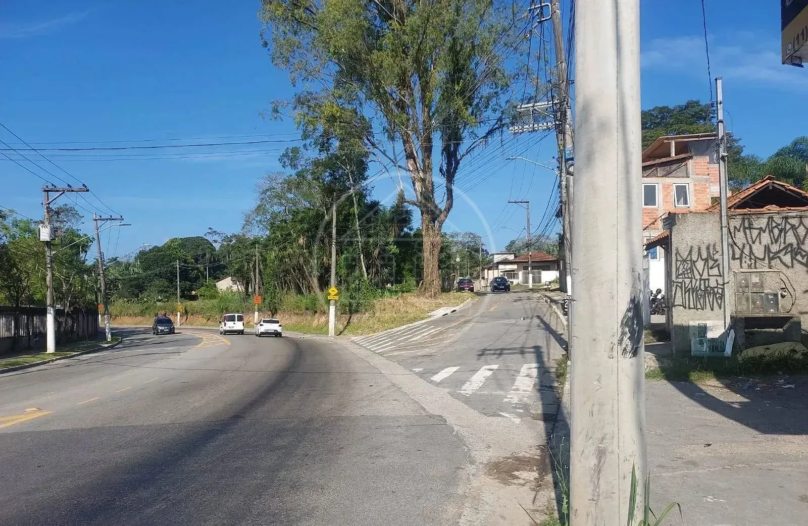 Sítio, 1 quarto, 1000 m² - Foto 4