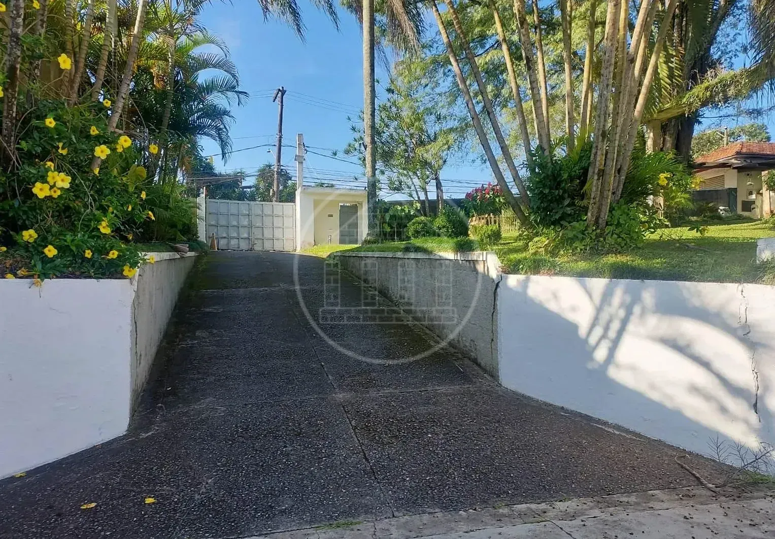 Sítio, 1 quarto, 1000 m² - Foto 3