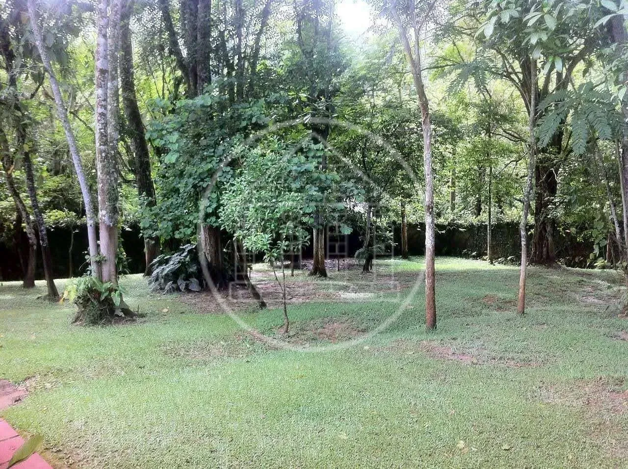 Sítio, 3 quartos, 5000 m² - Foto 11