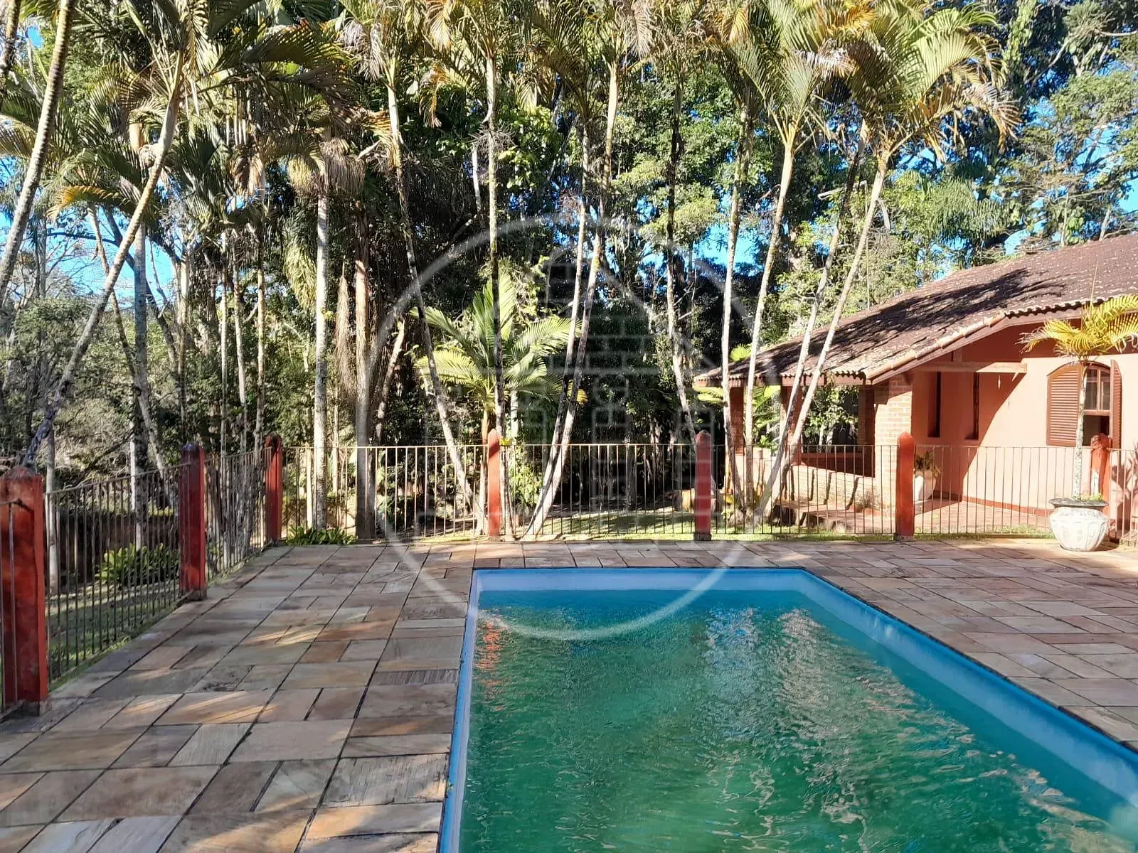 Sítio, 3 quartos, 5000 m² - Foto 53