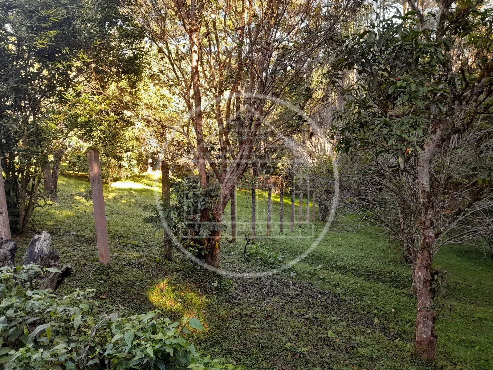 Sítio, 3 quartos, 5000 m² - Foto 68