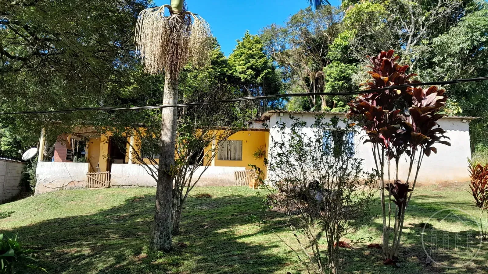 Sítio, 4 quartos, 860 m² - Foto 1