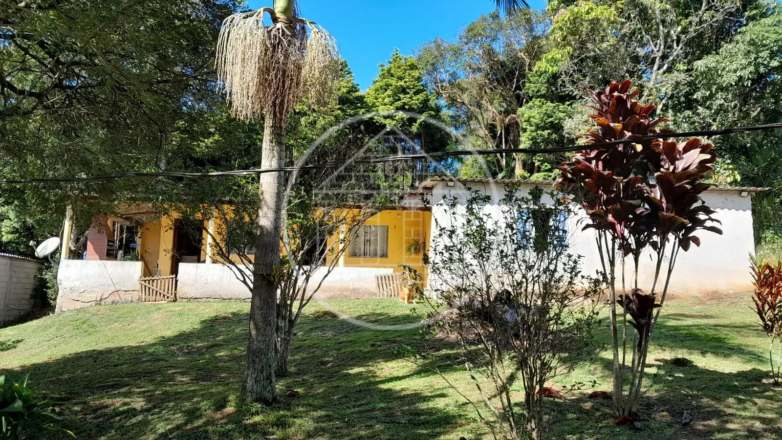 Sítio, 4 quartos, 860 m² - Foto 1