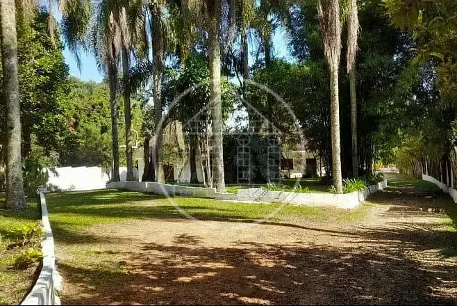 Sítio, 4 quartos, 4387 m² - Foto 10