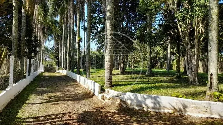 Sítio, 4 quartos, 4387 m² - Foto 9