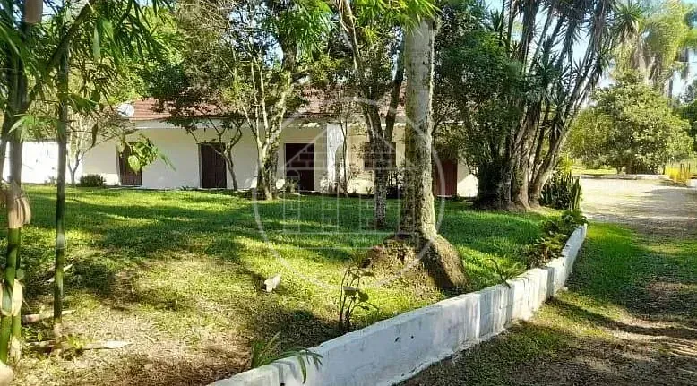 Sítio, 4 quartos, 4387 m² - Foto 4
