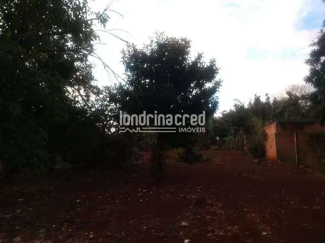 Chácara com 3300m² 3 quartos e 1 banheiro, à venda, no bairro Zona Rural em Cambé
