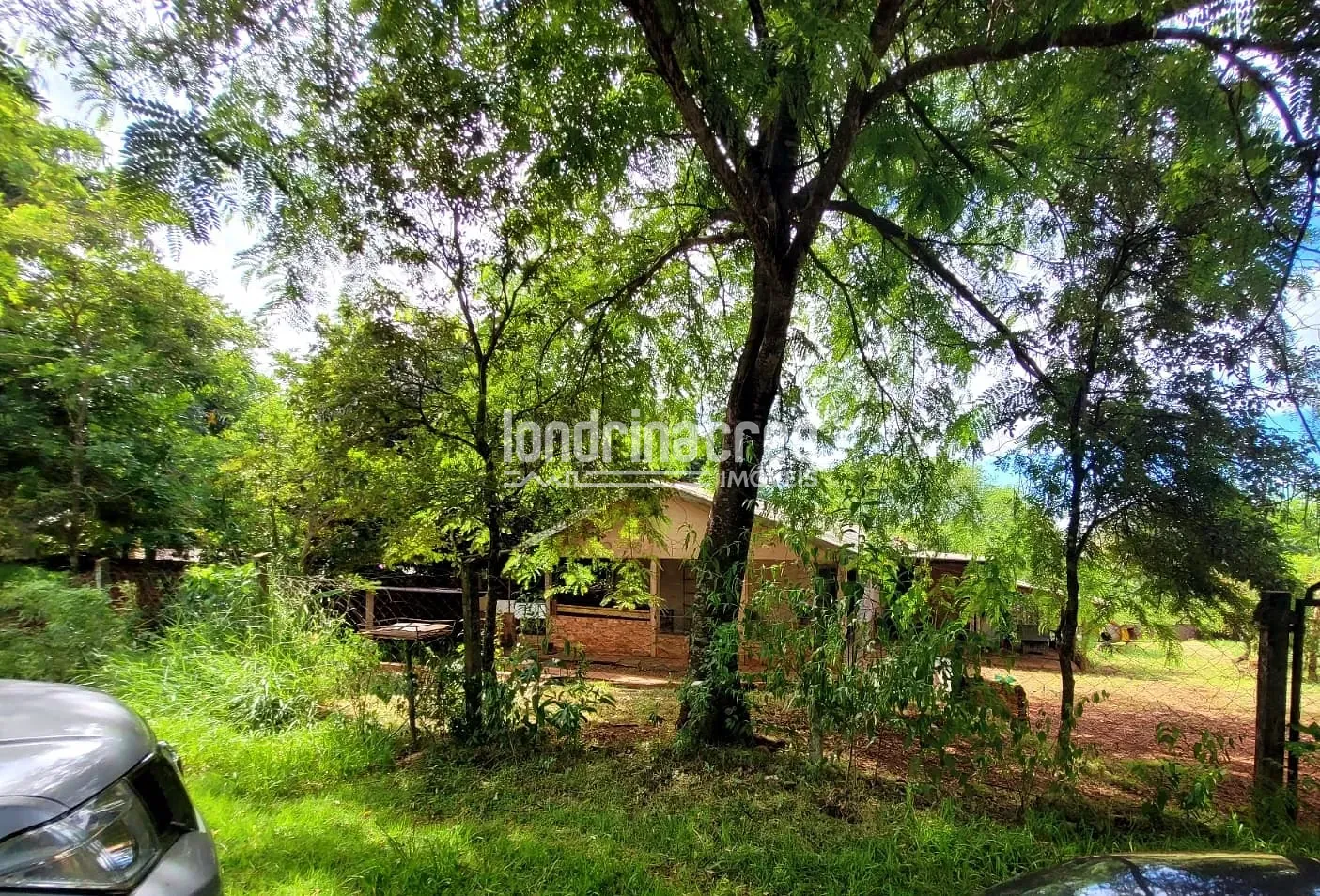 Sítio, 2 quartos, 5600 m² - Foto 11