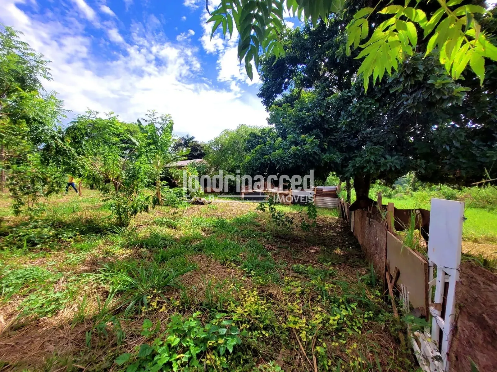 Sítio, 2 quartos, 5600 m² - Foto 12