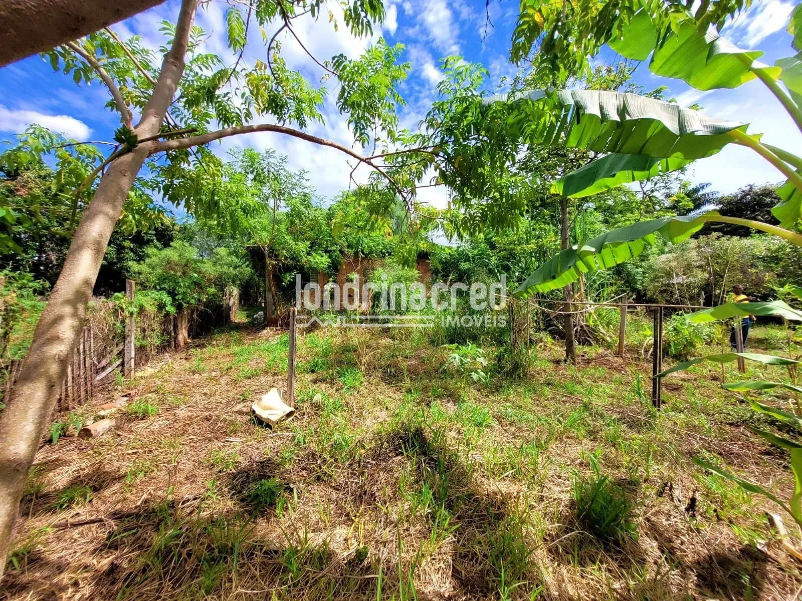 Sítio, 2 quartos, 5600 m² - Foto 17