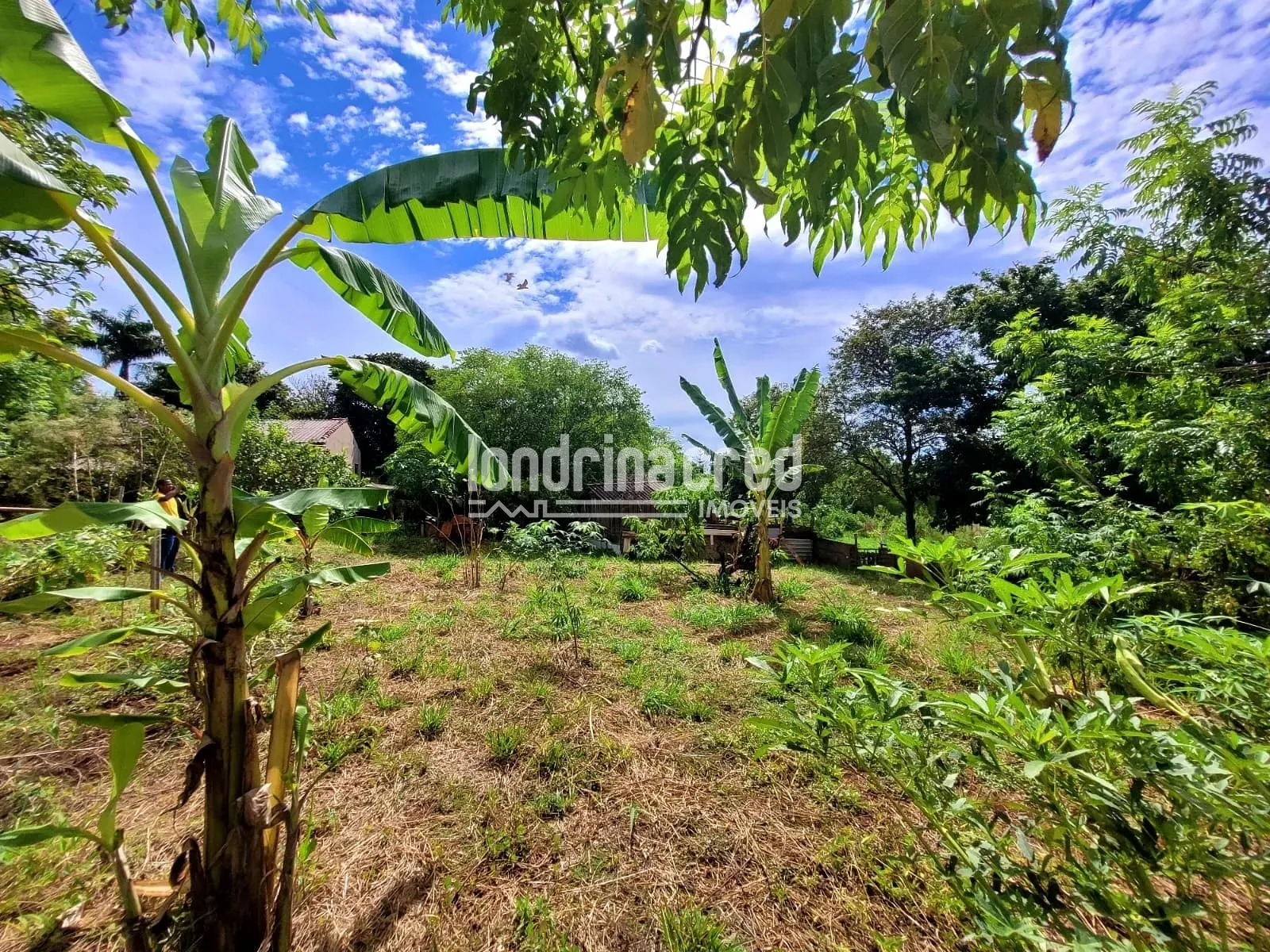 Sítio, 2 quartos, 5600 m² - Foto 18
