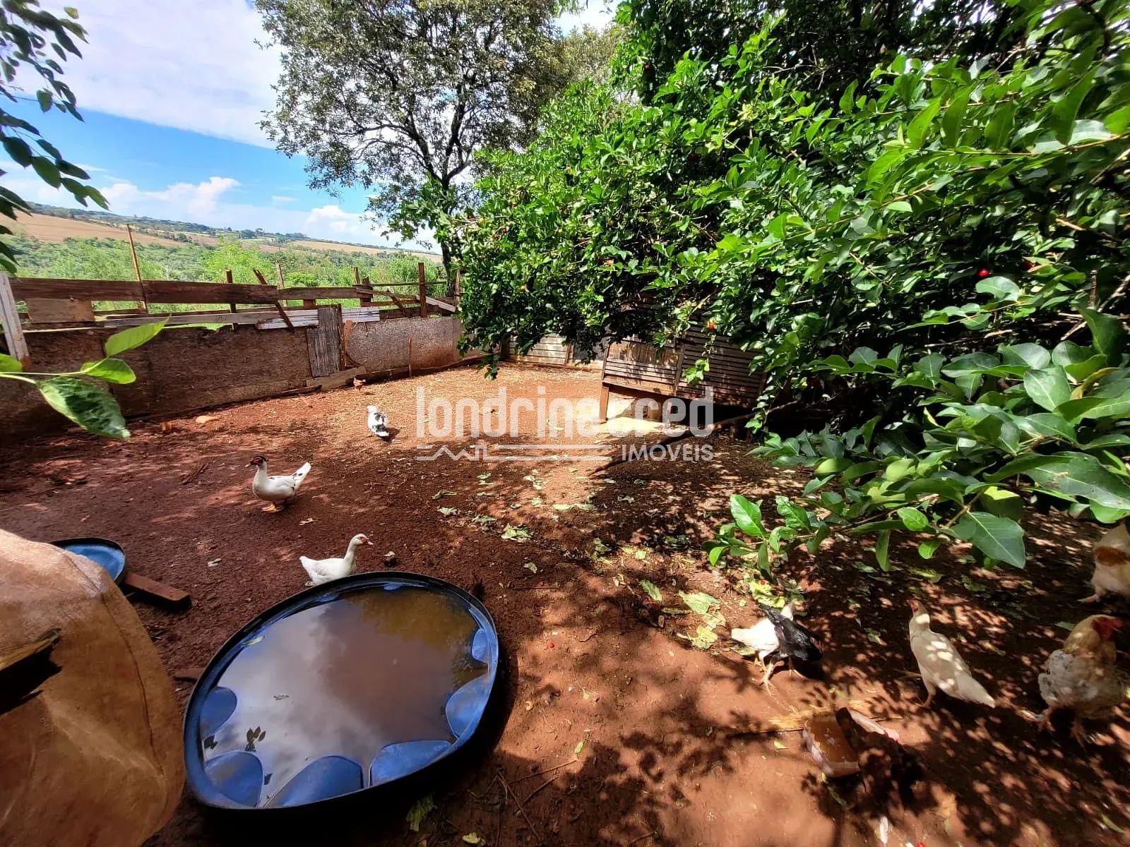 Sítio, 2 quartos, 5600 m² - Foto 24