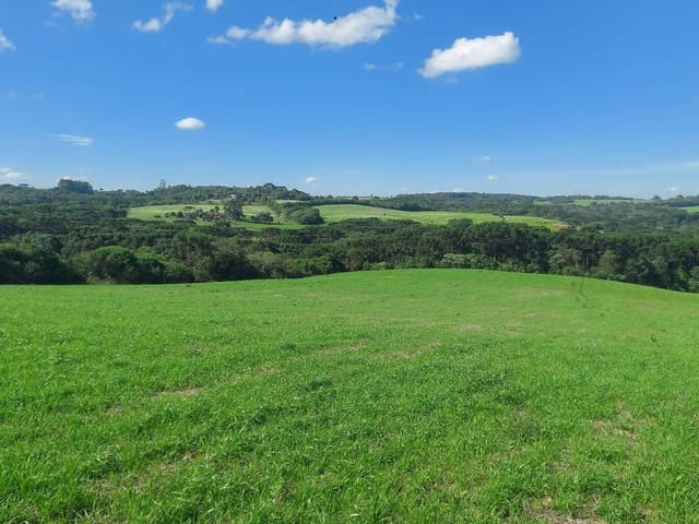 Chácara com 70000m² 1 quarto e 1 banheiro, à venda, no bairro Área Rural Lapa em Lapa