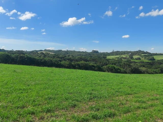 Chácara com 70000m² 1 quarto e 1 banheiro, à venda, no bairro Área Rural Lapa em Lapa