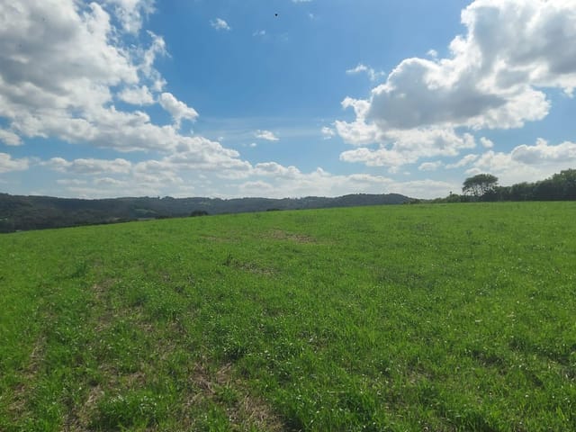 Chácara com 70000m² 1 quarto e 1 banheiro, à venda, no bairro Área Rural Lapa em Lapa