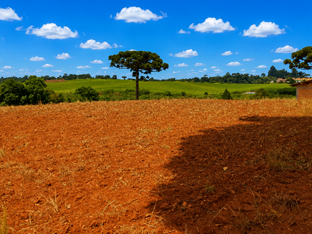 Chácara com 123500m² 1 quarto e 1 banheiro, à venda, no bairro Guajuvira em Araucária