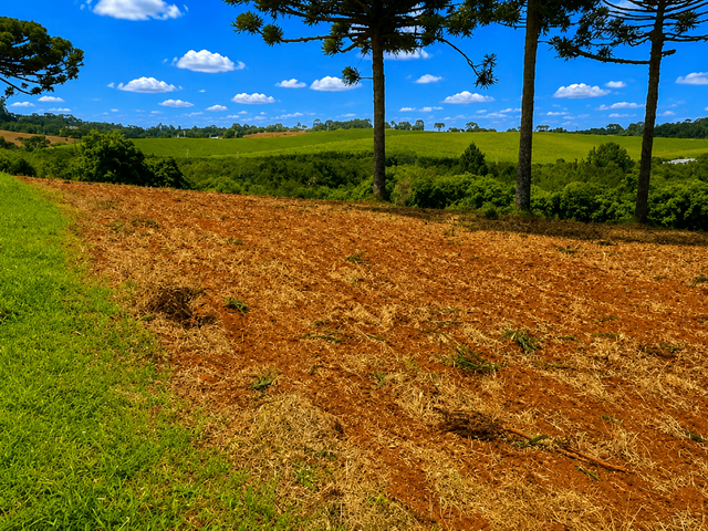 Chácara com 123500m² 1 quarto e 1 banheiro, à venda, no bairro Guajuvira em Araucária