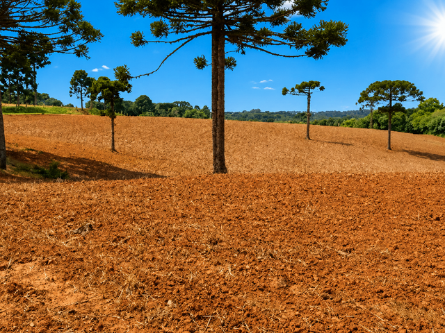 Chácara com 123500m² 1 quarto e 1 banheiro, à venda, no bairro Guajuvira em Araucária