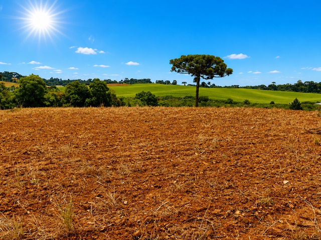 Chácara com 123500m² 1 quarto e 1 banheiro, à venda, no bairro Guajuvira em Araucária