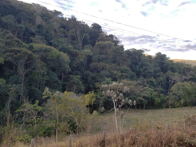 Chácara com 30000m², à venda, no bairro Aterrado em Lorena