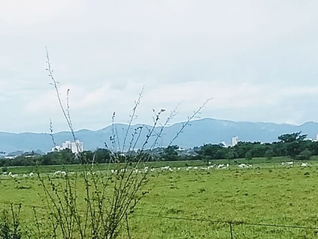 Chácara com 20000m², à venda, no bairro Cruz Pequena em Pindamonhangaba