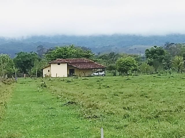 Chácara com 20000m², à venda, no bairro Cruz Pequena em Pindamonhangaba