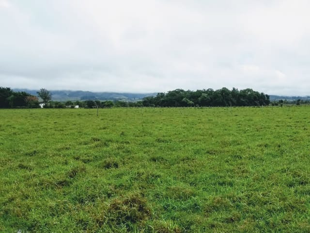 Chácara com 20000m², à venda, no bairro Cruz Pequena em Pindamonhangaba