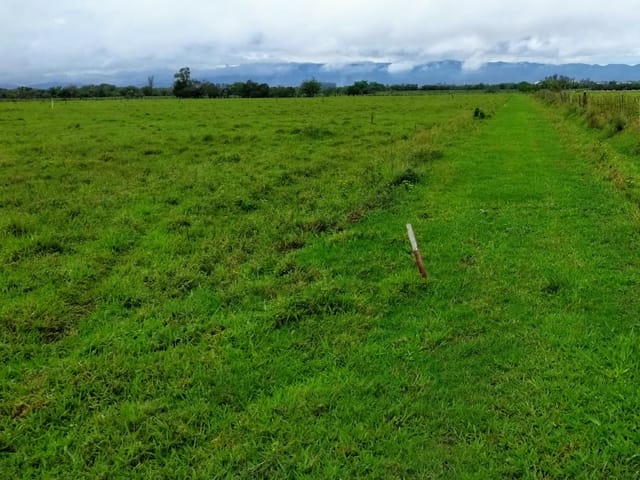 Chácara com 20000m², à venda, no bairro Cruz Pequena em Pindamonhangaba