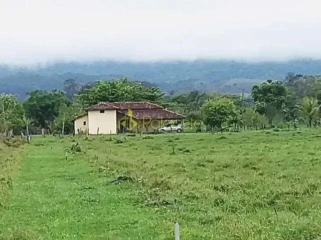 Chácara com 20000m², à venda, no bairro Cruz Pequena em Pindamonhangaba