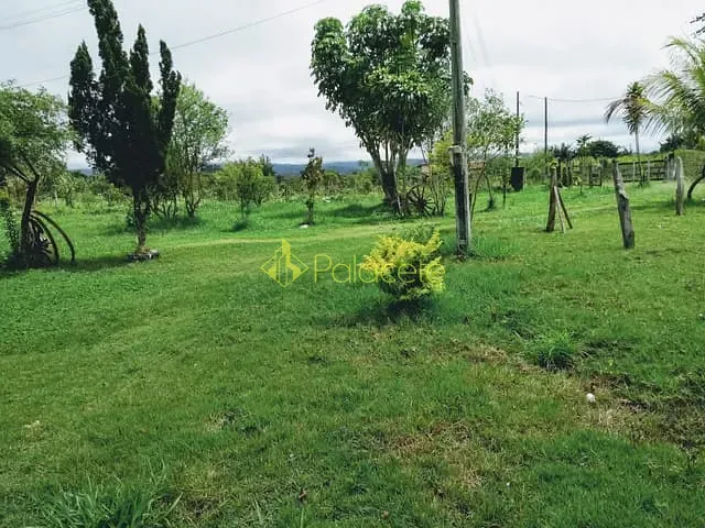 Chácara com 20000m², à venda, no bairro Cruz Pequena em Pindamonhangaba